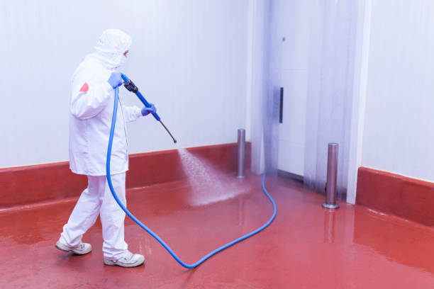 Best Paint Preparation  in Pageland, SC